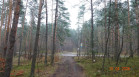 Podlesie. Szlak kordonów granicznych