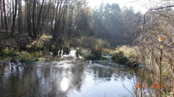 Biała Przemsza. Pozostałości starego mostu